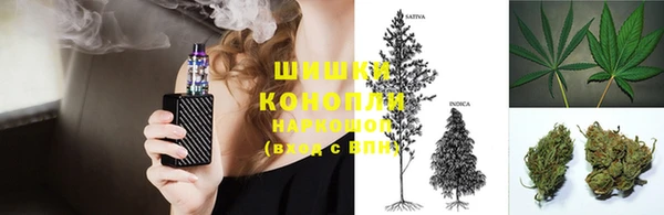 стаф Волосово