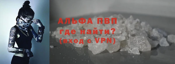 стаф Волосово