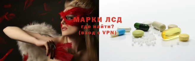 стаф Волосово