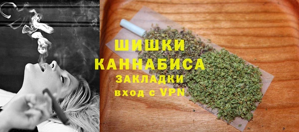 стаф Волосово