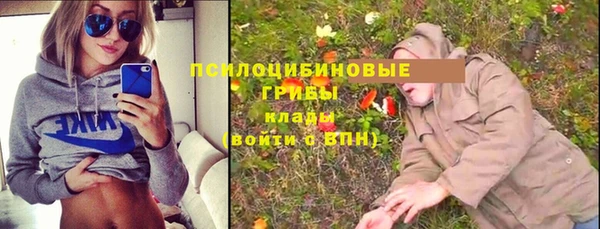 стаф Волосово