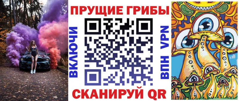 Купить где  Лянтор  Псилоцибиновые грибы Cubensis 