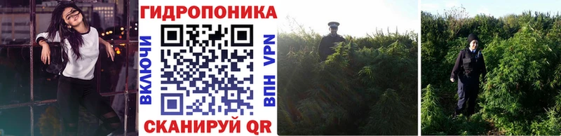 Купить где  Лянтор  Каннабис тримм 